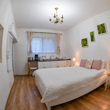 Transilvania Apartment Sibiu Exteriér fotografie