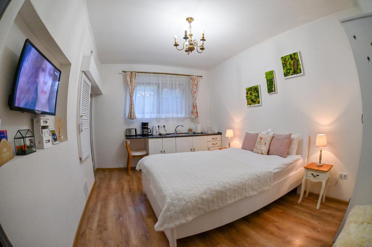 Transilvania Apartment Sibiu Exteriér fotografie
