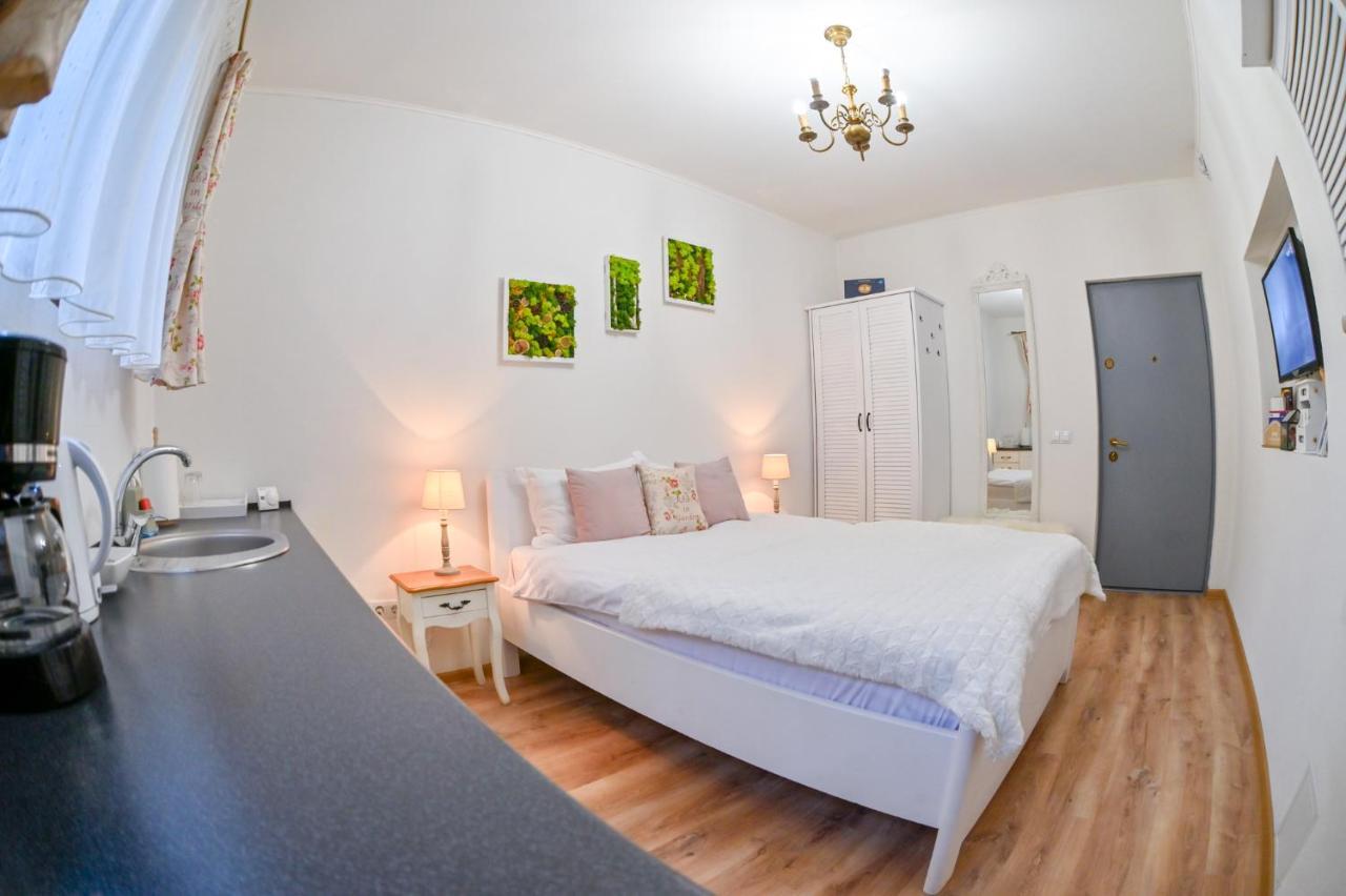 Transilvania Apartment Sibiu Exteriér fotografie